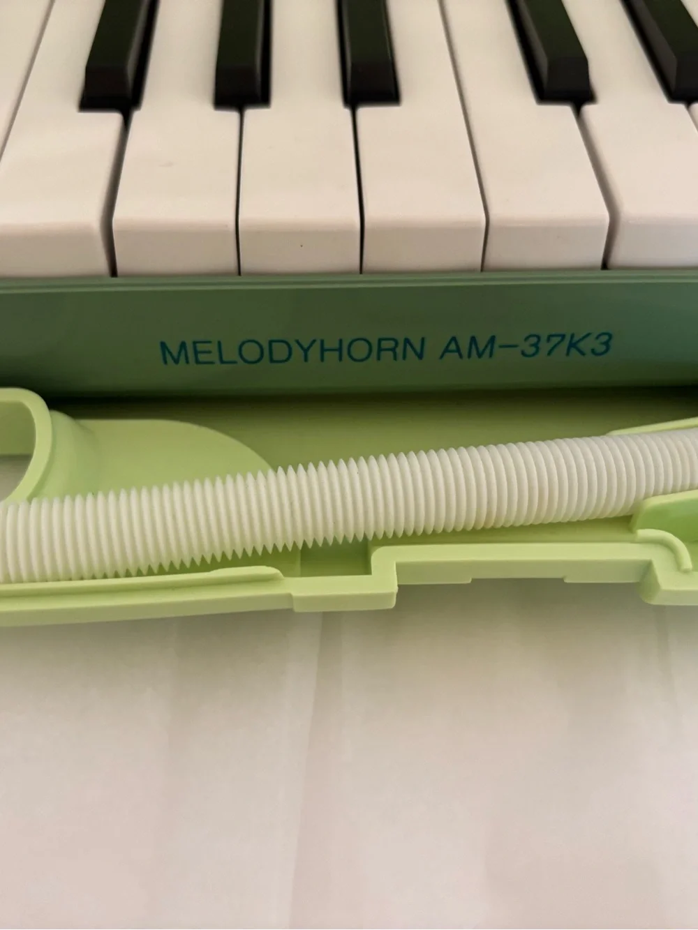 Sweet Tunes Start Here! Vintage Whimsical Fun playful Keyboard/Harmonica